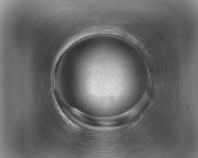 X0000068741520200604281126