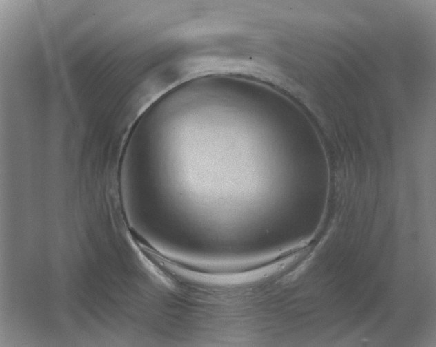 X0000068741521200604281126