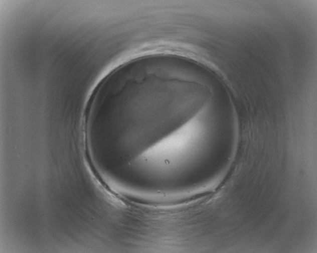 X0000068741522200604281126