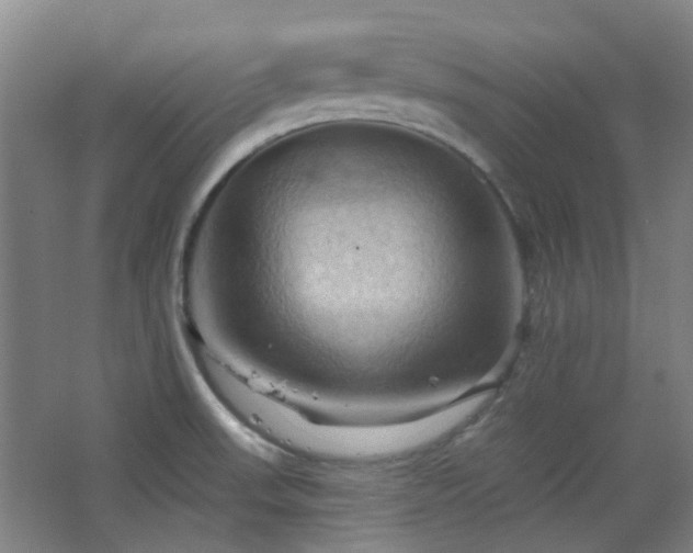 X0000068741523200604281126