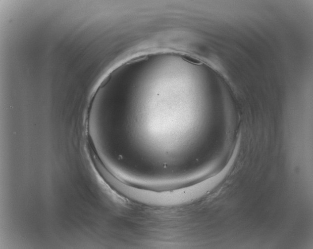 X0000068741524200604281126