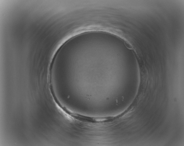 X0000068741527200604281126