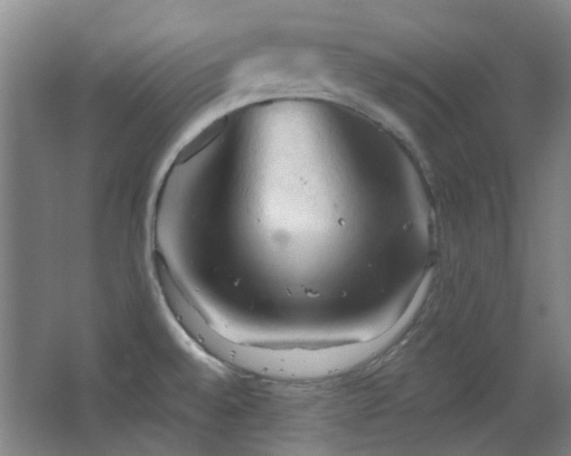 X0000068741528200604281126