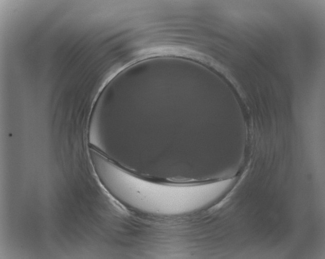 X0000068741529200604281126