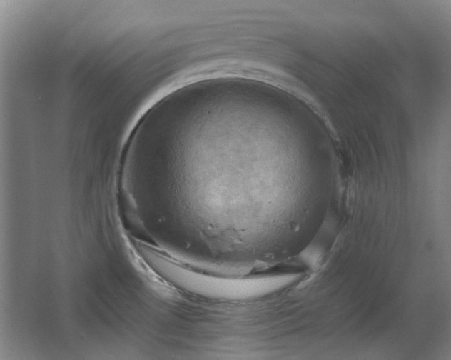 X0000068741530200604281126