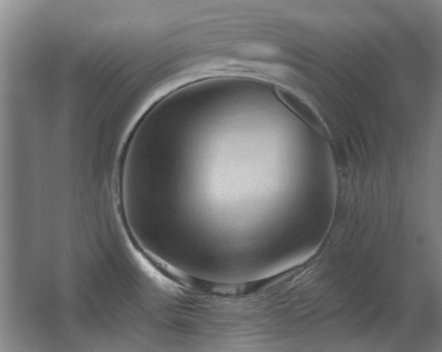 X0000068741531200604281126