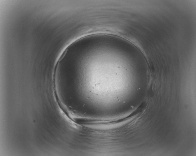 X0000068741532200604281126