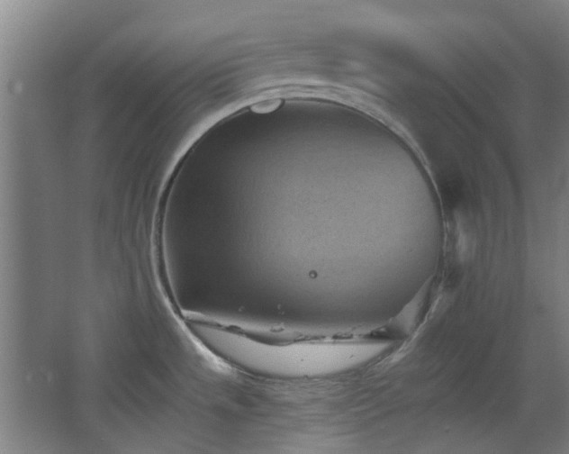 X0000068741533200604281126