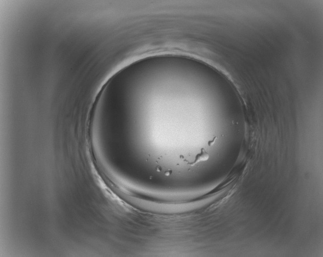 X0000068741534200604281126