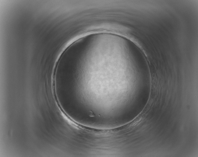 X0000068741535200604281126