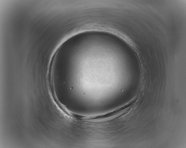 X0000068741536200604281126