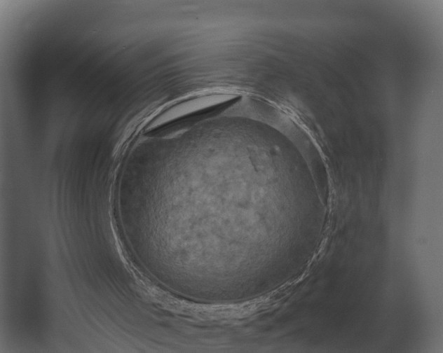 X0000068740001200605011037