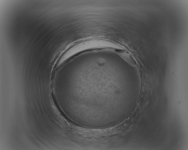 X0000068740002200605011037