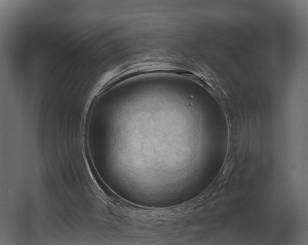 X0000068740003200605011037