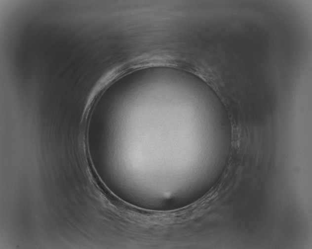 X0000068740004200605011037