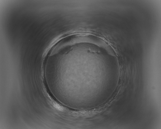 X0000068740005200605011037