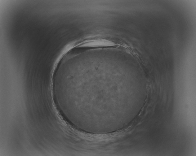 X0000068740006200605011037