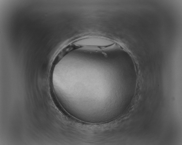 X0000068740007200605011037