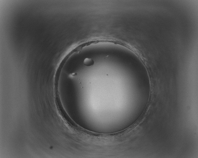 X0000068740008200605011037