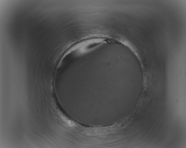 X0000068740009200605011037