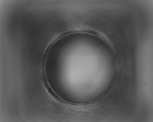 X0000068740010200605011037