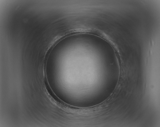 X0000068740011200605011037