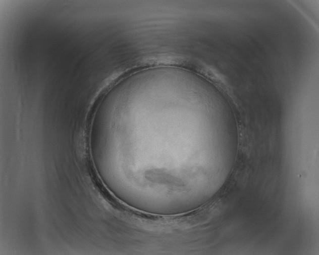 X0000068740012200605011037