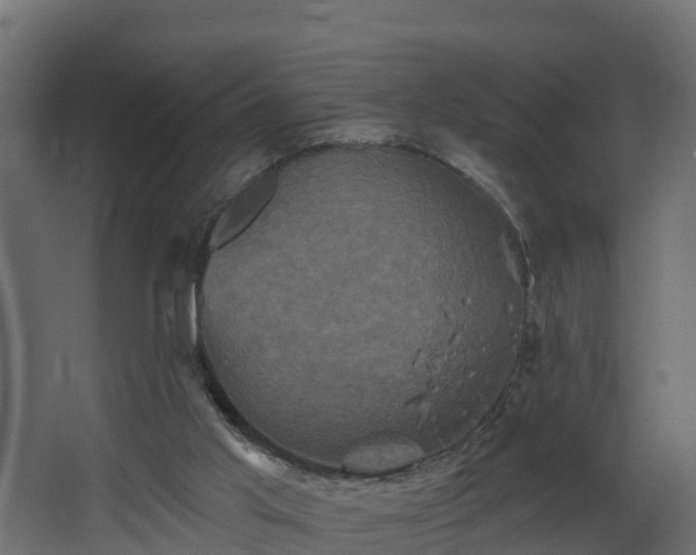 X0000068740013200605011037