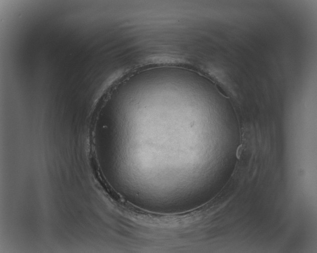 X0000068740015200605011037