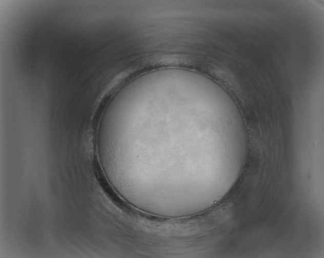 X0000068740016200605011037