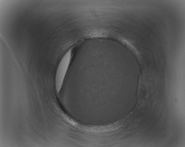 X0000068740017200605011037