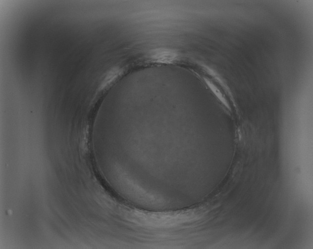 X0000068740018200605011037