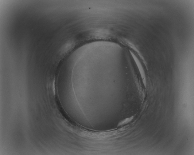 X0000068740019200605011037