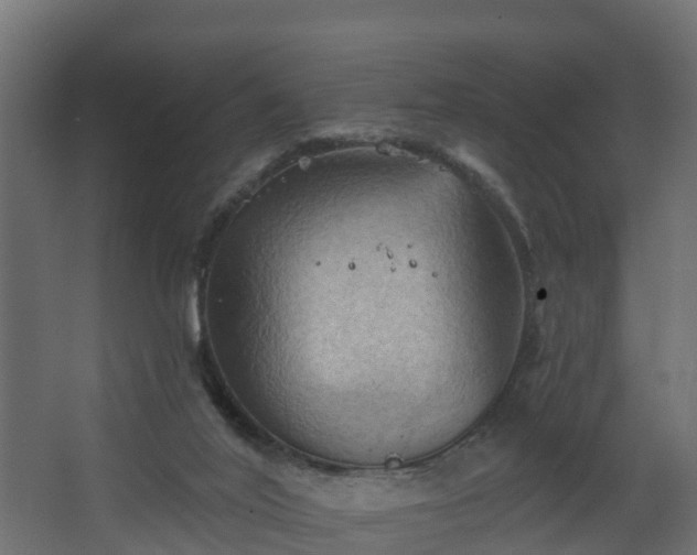 X0000068740020200605011037