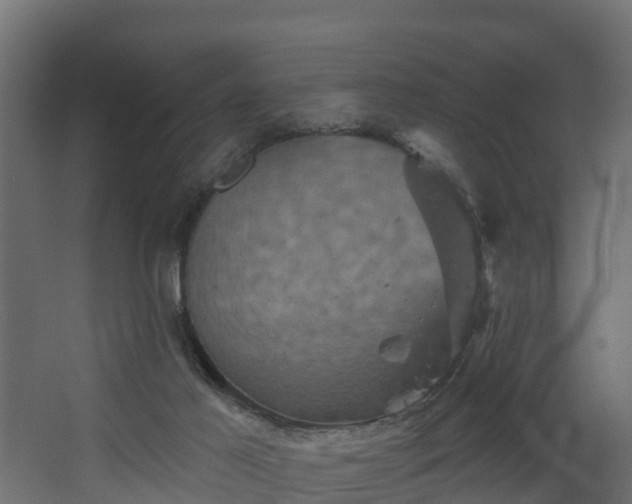 X0000068740021200605011037