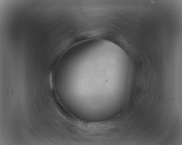 X0000068740022200605011037