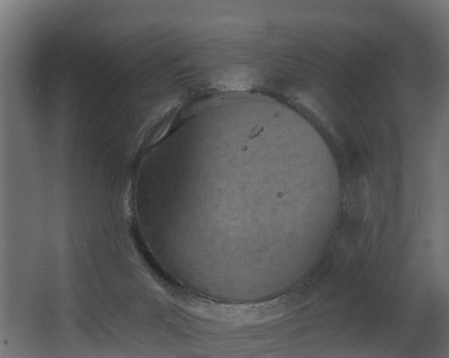 X0000068740023200605011037