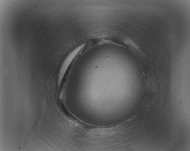 X0000068740025200605011037