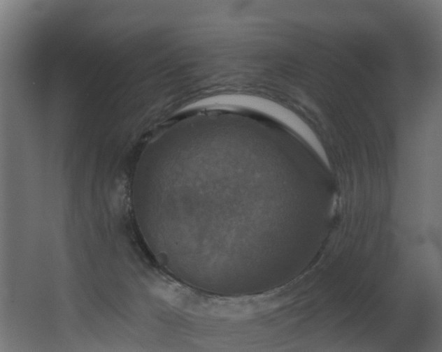 X0000068740029200605011037