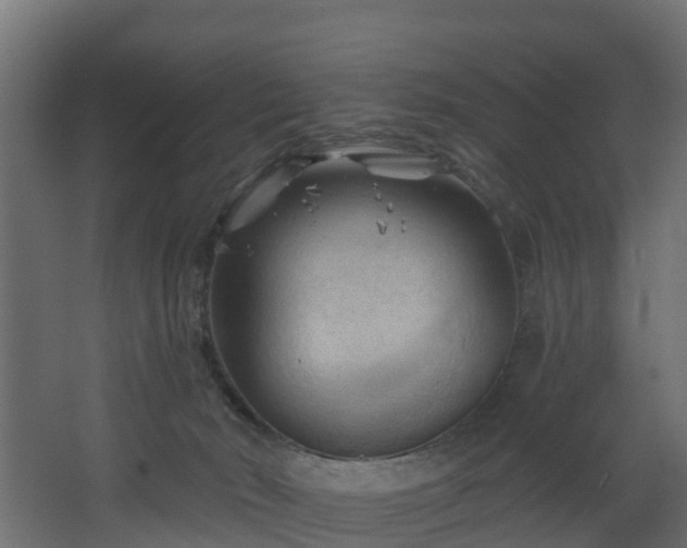 X0000068740030200605011037