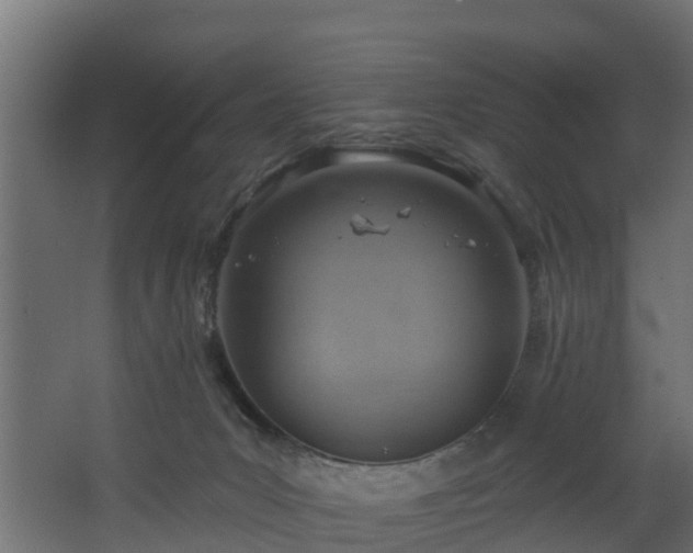 X0000068740031200605011037