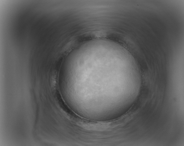 X0000068740032200605011037