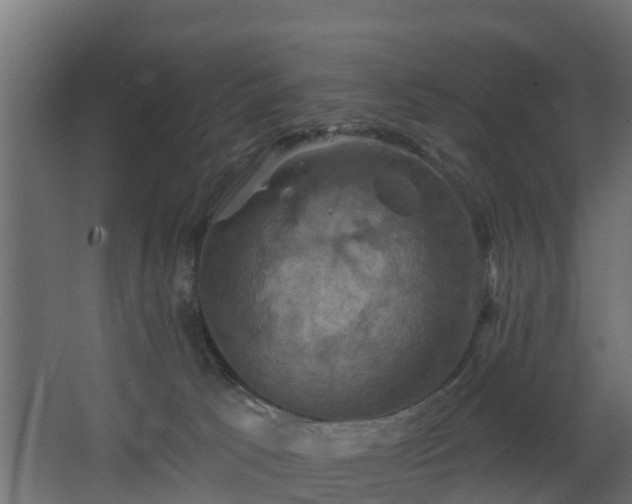 X0000068740033200605011037