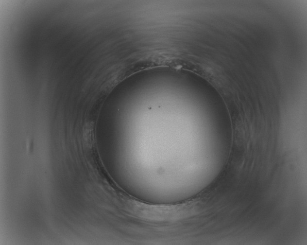 X0000068740034200605011037