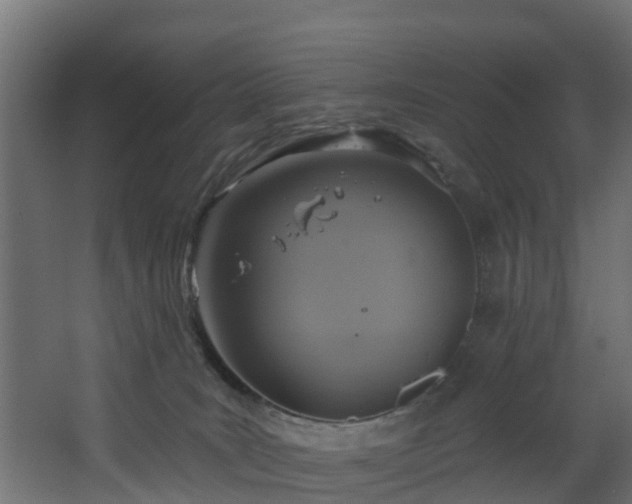 X0000068740035200605011037