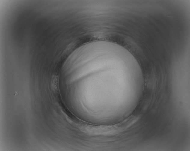 X0000068740036200605011037