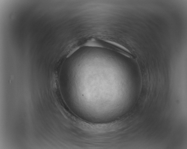 X0000068740038200605011037