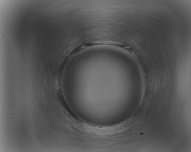 X0000068740039200605011037