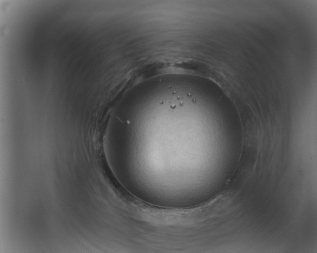 X0000068740040200605011037