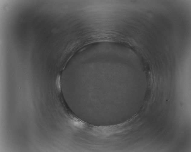 X0000068740041200605011037